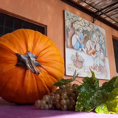 La Torre Wine 컨트리하우스