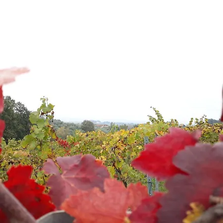 Country house La Torre Wine *
