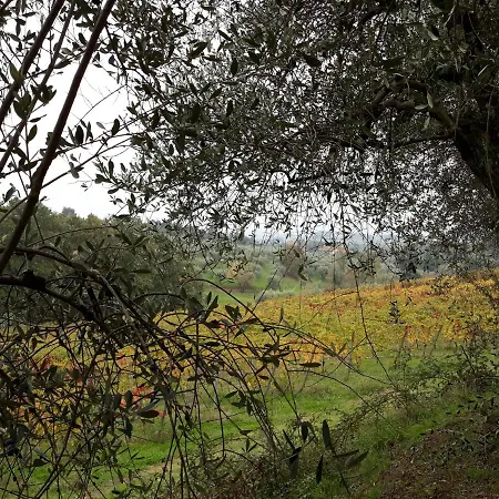 La Torre Wine