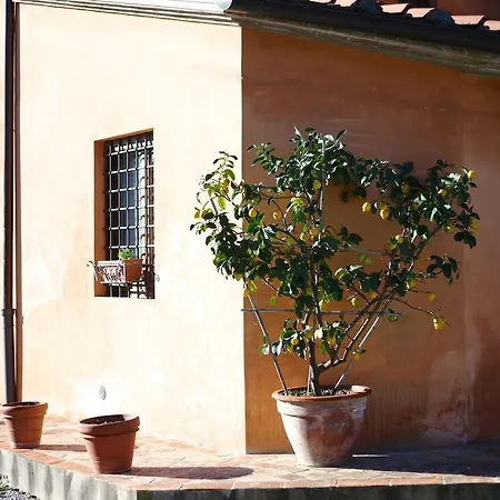 La Torre Wine Montecarlo