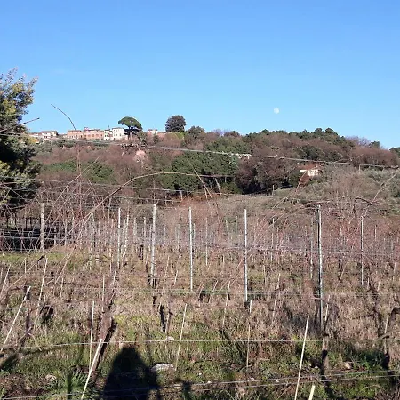 La Torre Wine *