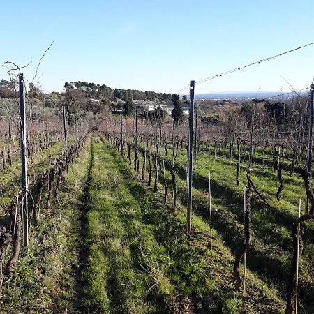 La Torre Wine Country house