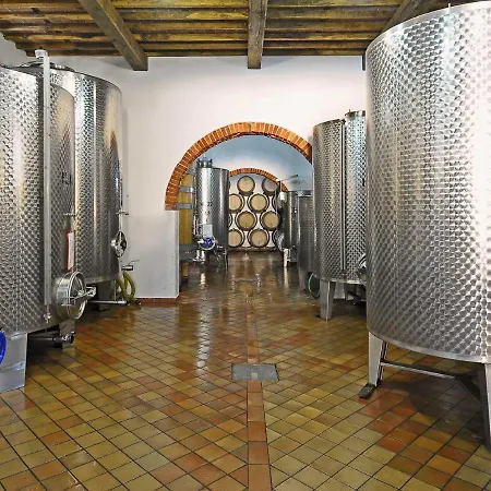 Country house La Torre Wine Montecarlo