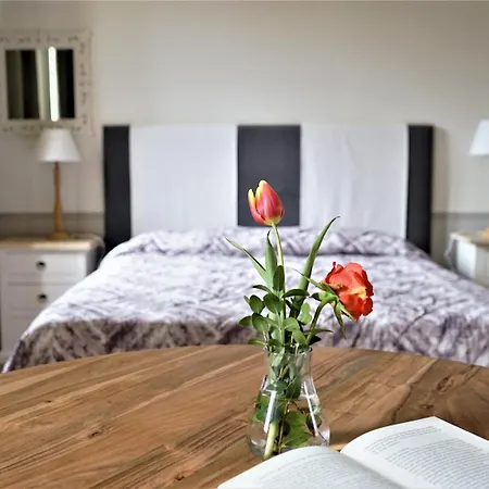 Country house La Torre Wine Montecarlo