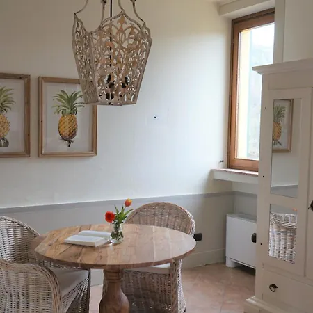 Country house La Torre Wine Montecarlo