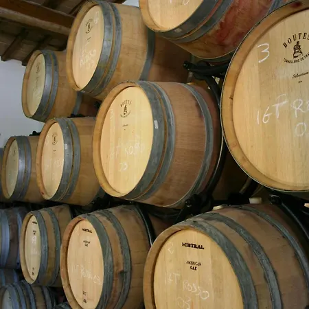 Country house La Torre Wine Montecarlo
